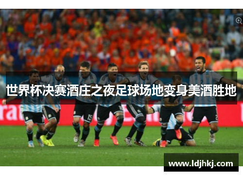 世界杯决赛酒庄之夜足球场地变身美酒胜地